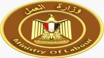 185 وظيفة بالسويس برواتب تصل إلى 16 ألف جنيه والتقديم متاح فورًا